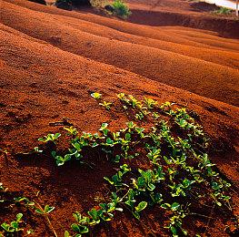 万代：《艾尔登法环》PS4版无法升级至PS5问题正在调查中